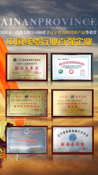 发展优势